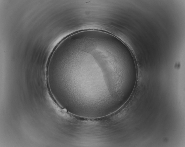 X0000110970996200906191331