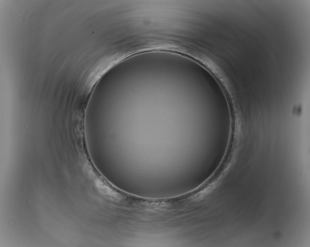 X0000110971001200906191331