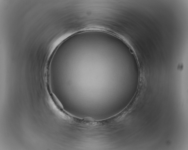 X0000110971003200906191331