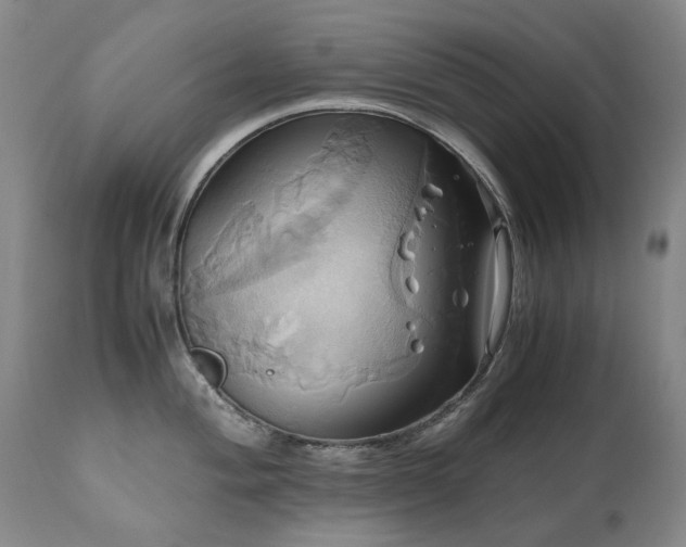 X0000110971004200906191331