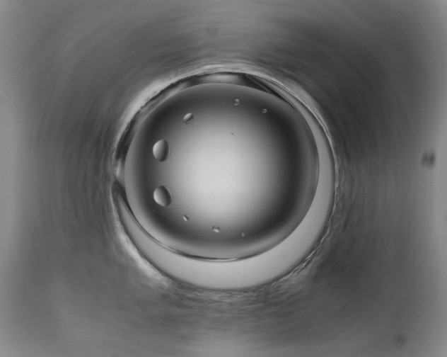 X0000110971005200906191331