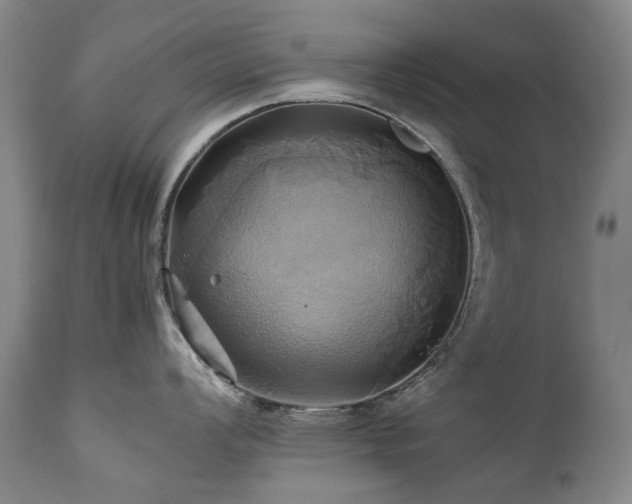 X0000110971008200906191331