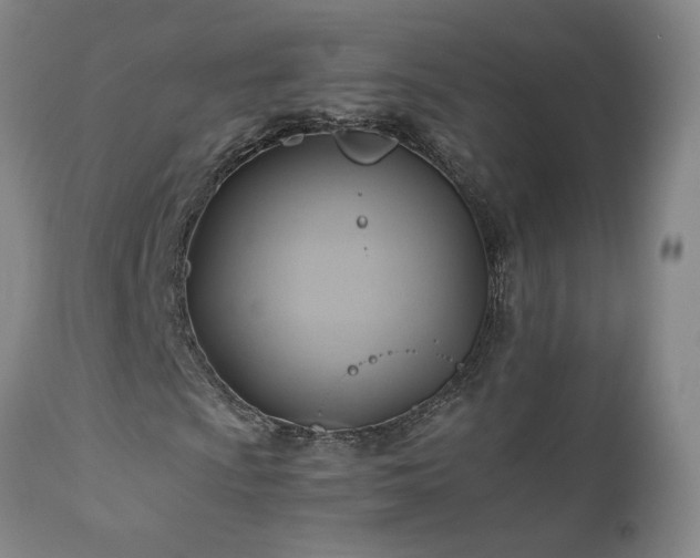 X0000110971009200906191330