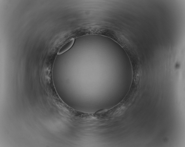 X0000110971010200906191330