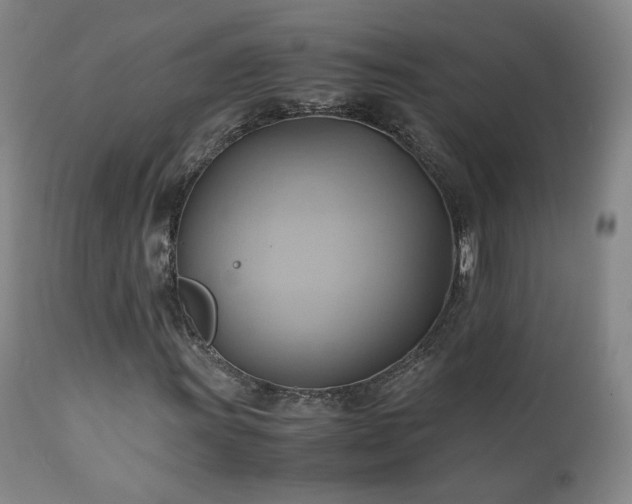 X0000110971011200906191330