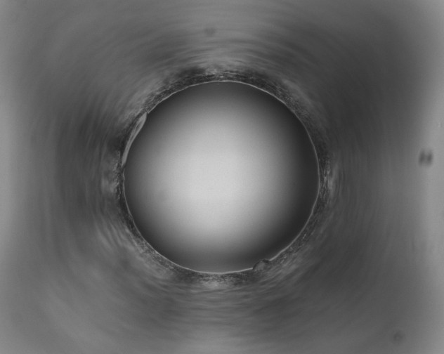 X0000110971012200906191330