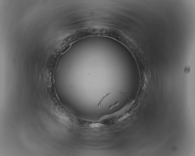 X0000110971013200906191330