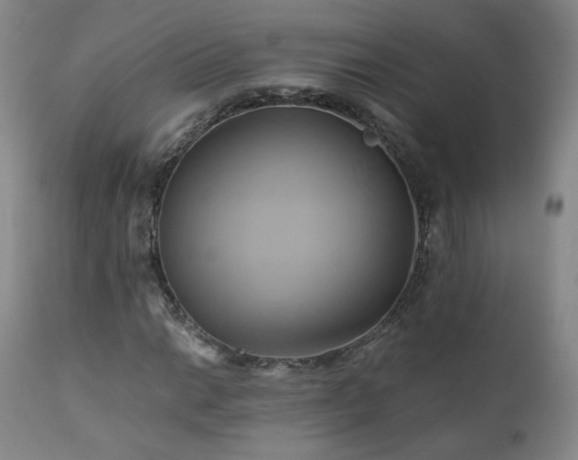 X0000110971014200906191330