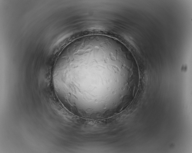 X0000110971015200906191330