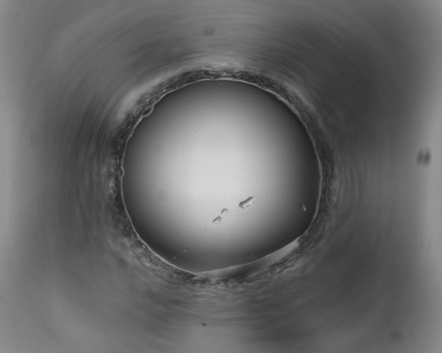 X0000110971016200906191330