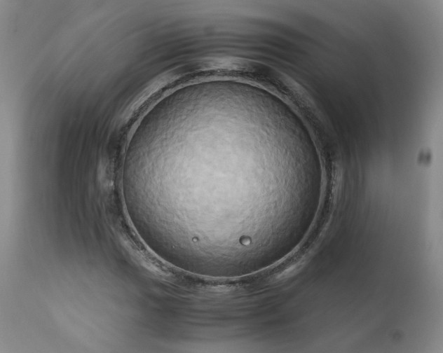 X0000110971017200906191330