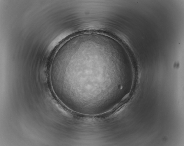 X0000110971018200906191330