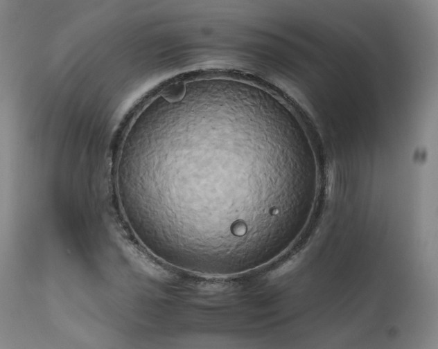 X0000110971021200906191330