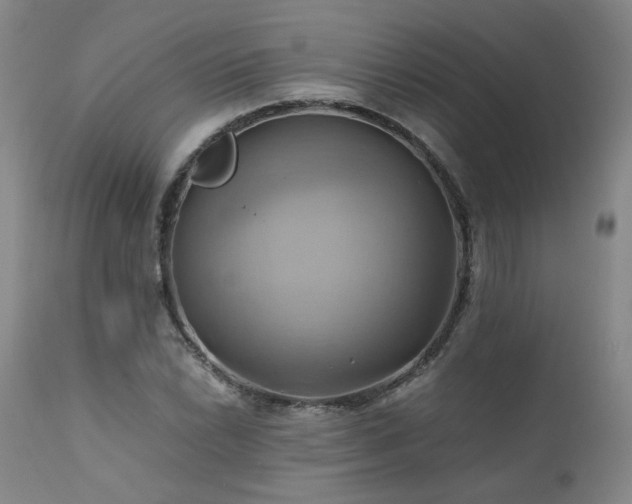 X0000110971022200906191330