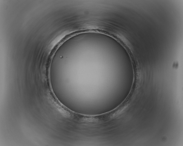 X0000110971023200906191330