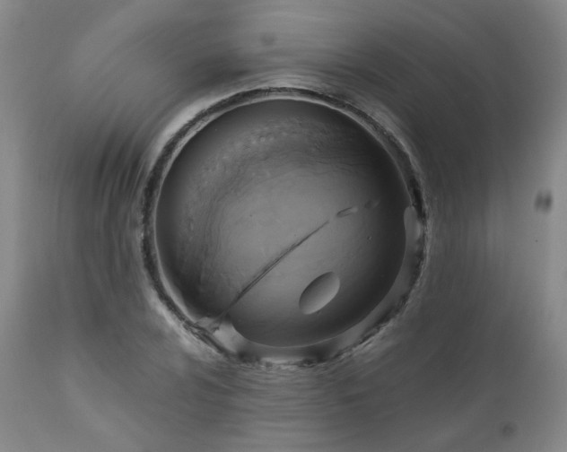 X0000110971024200906191330