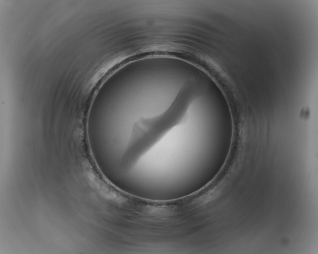 X0000110971025200906191330