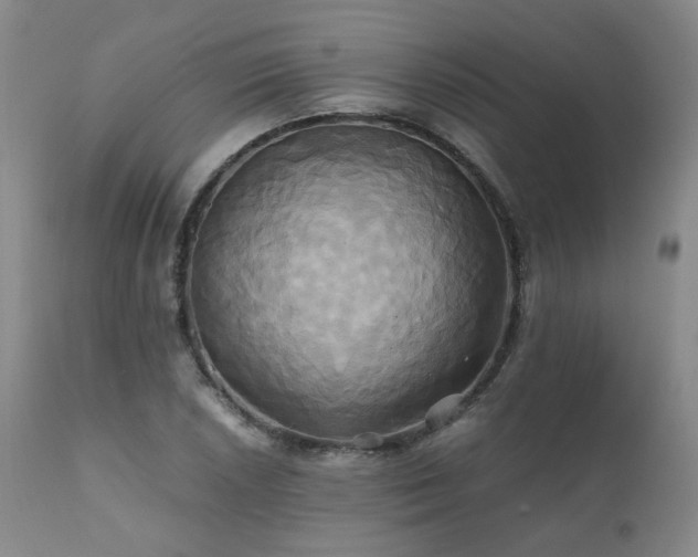 X0000110971026200906191330