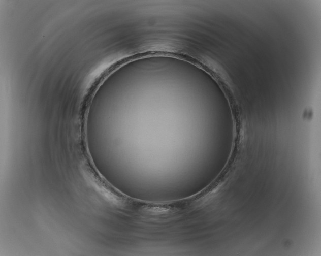 X0000110971027200906191330