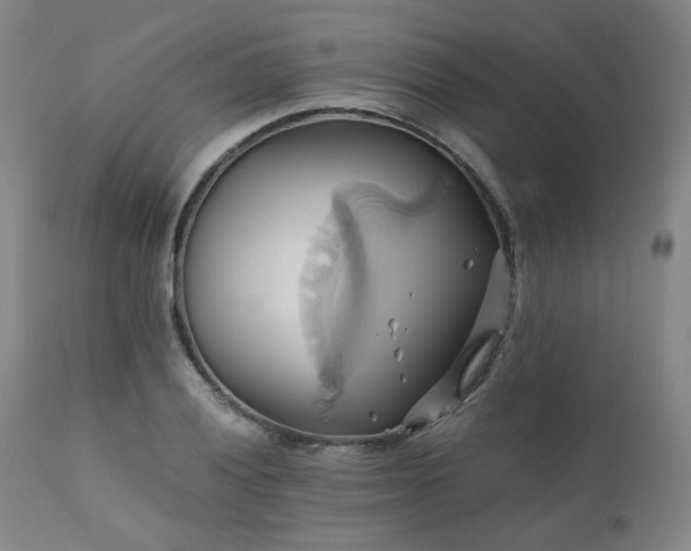 X0000110971028200906191330