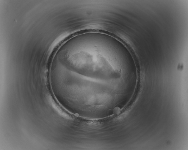 X0000110971029200906191330