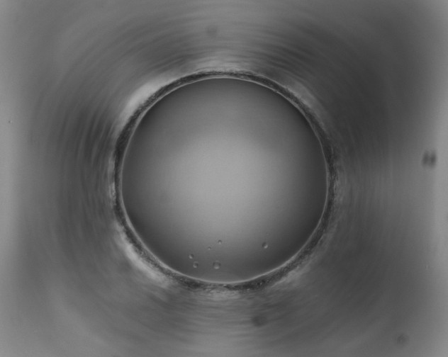 X0000110971030200906191330