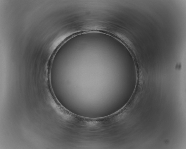 X0000110971031200906191330