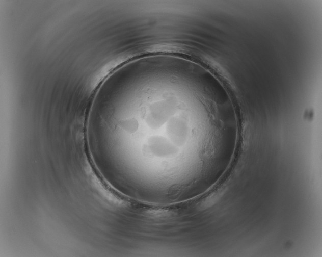 X0000110971033200906191330