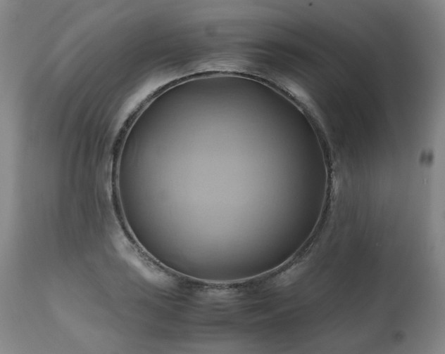 X0000110971035200906191330