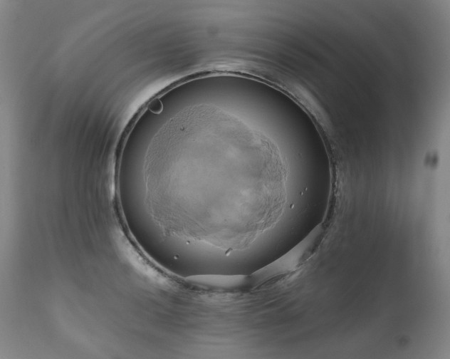 X0000110971036200906191330