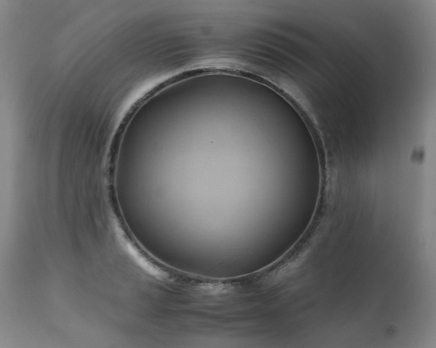 X0000110971037200906191330