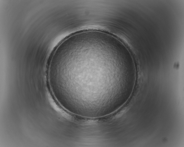 X0000110971038200906191330