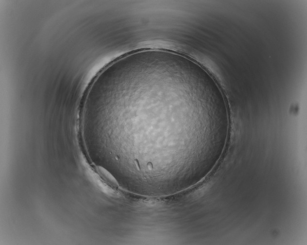 X0000110971040200906191330