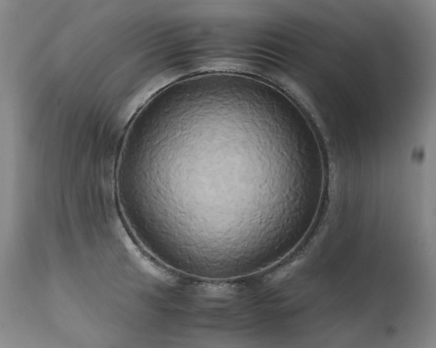 X0000110971041200906191331