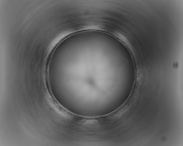 X0000110971043200906191331