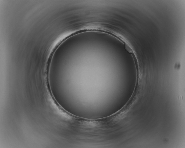 X0000110971045200906191331