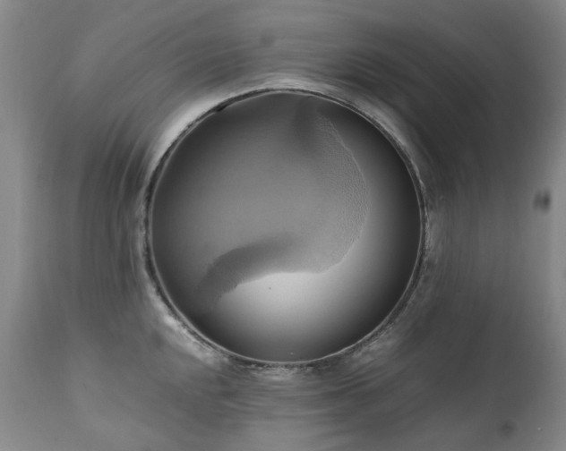 X0000110971048200906191331