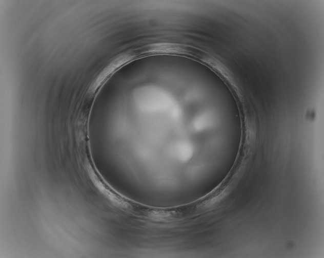 X0000110971049200906191331