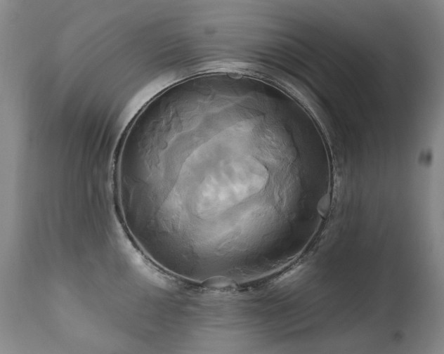 X0000110971050200906191331