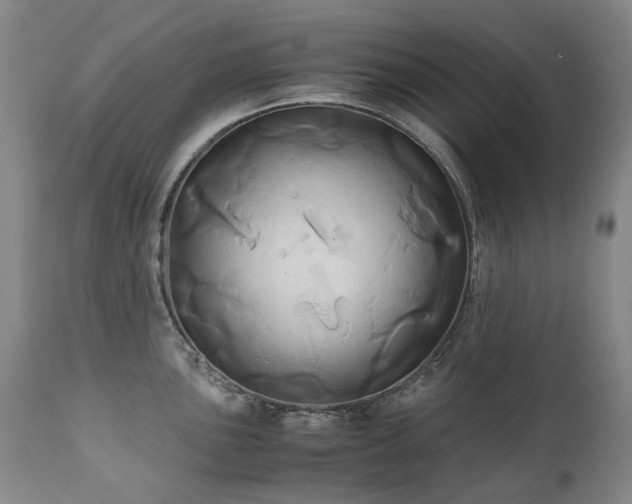 X0000110971051200906191331