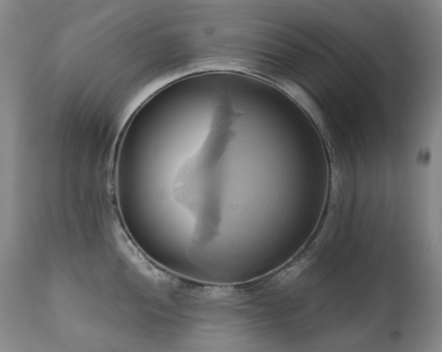 X0000110971052200906191331