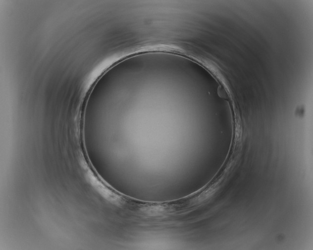 X0000110971054200906191331