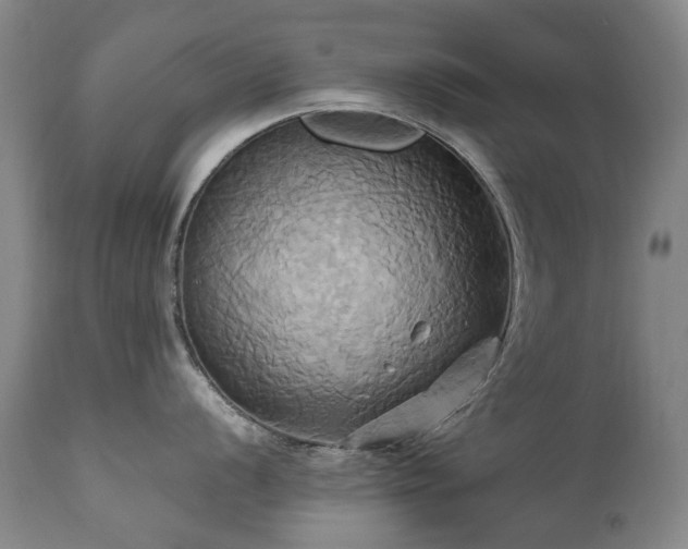 X0000110971056200906191331