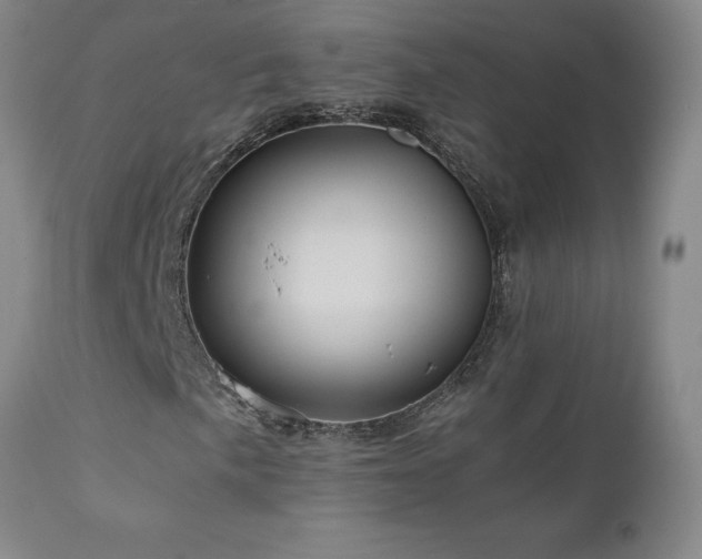 X0000110971057200906191330