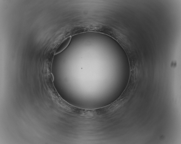 X0000110971058200906191330