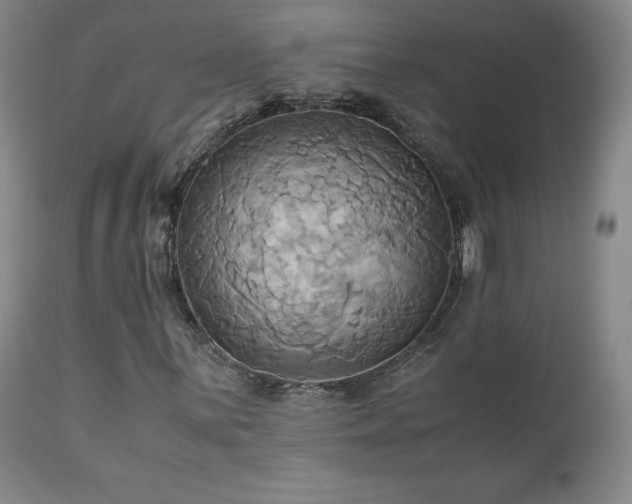 X0000110971059200906191330