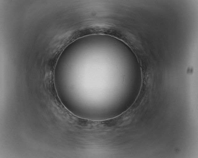 X0000110971061200906191330