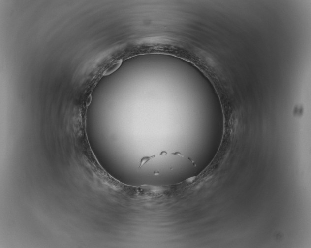 X0000110971062200906191330