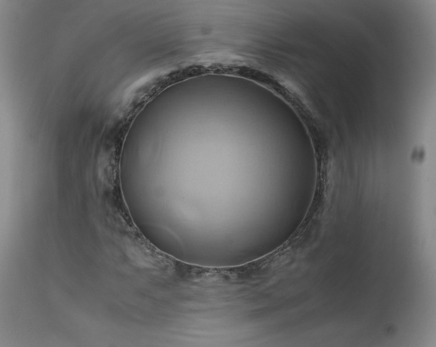 X0000110971063200906191330