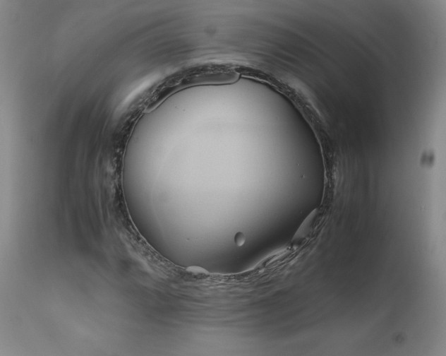 X0000110971064200906191330